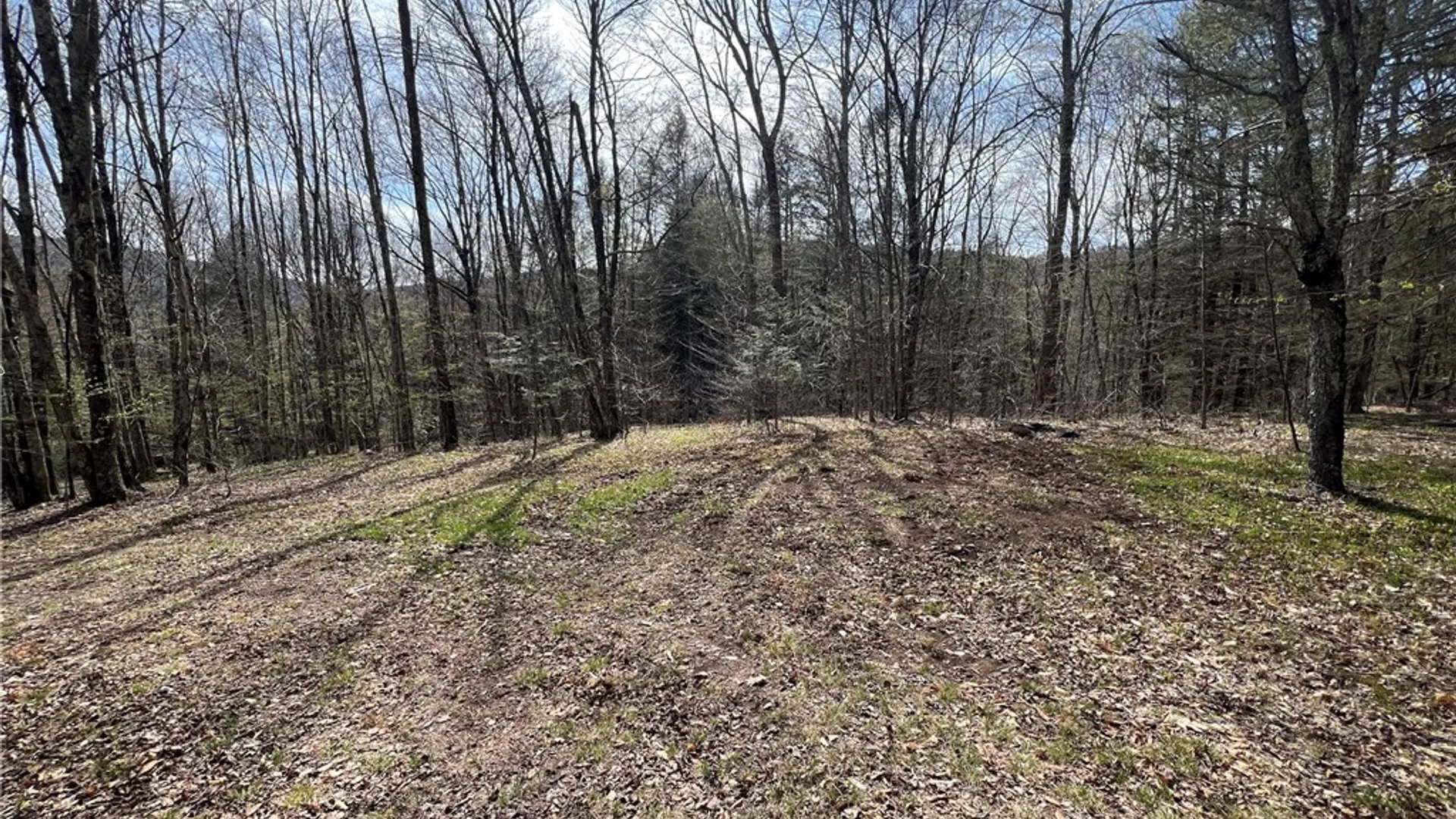 Property at State Highway 30, Andes, NY 13731 5