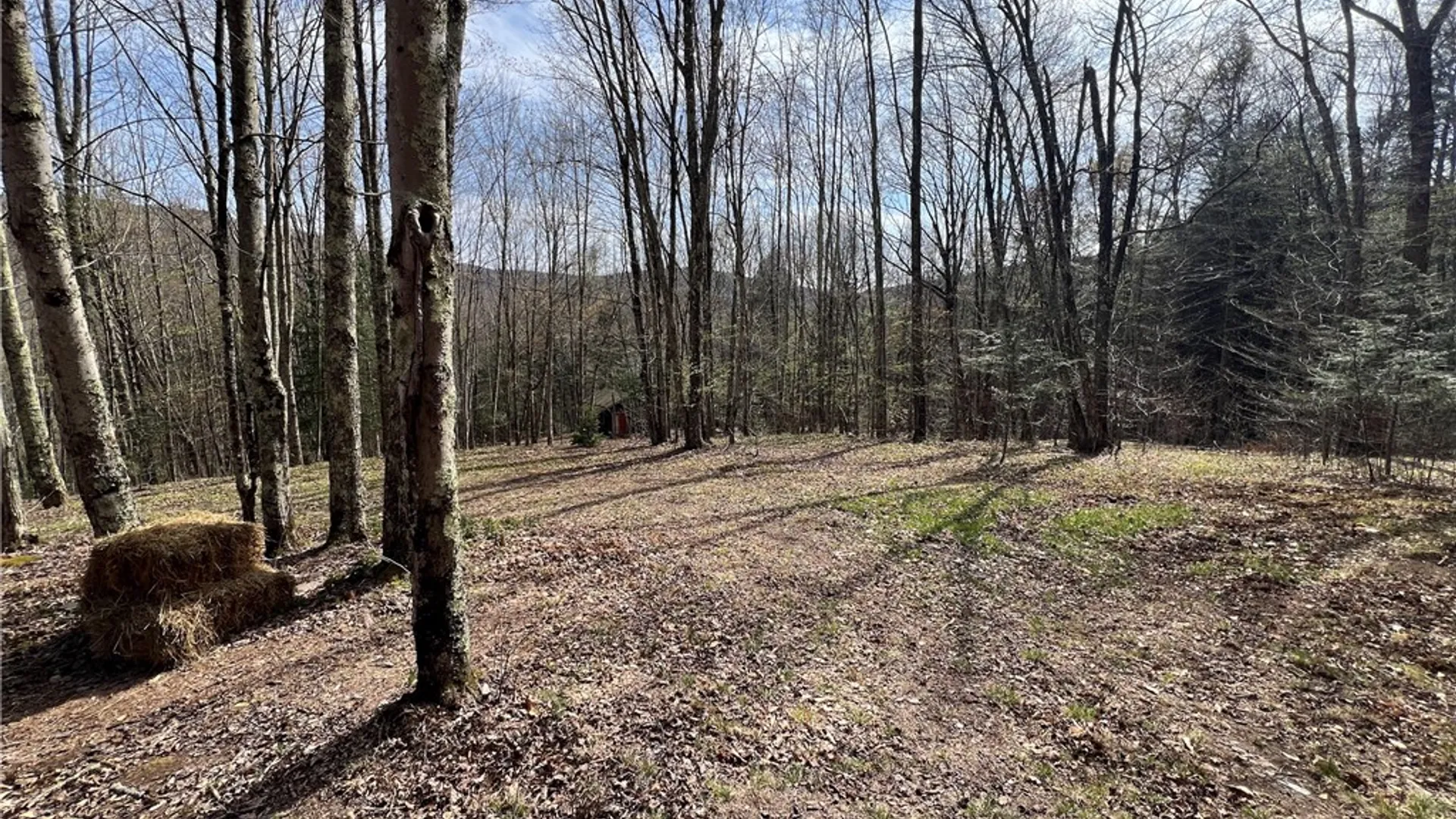 Property at State Highway 30, Andes, NY 13731 6
