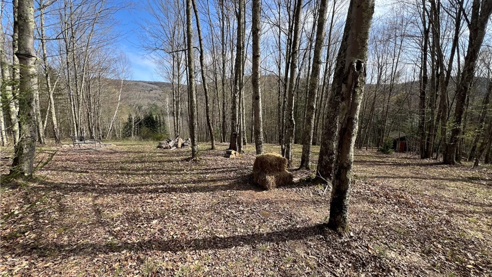 Property at State Highway 30, Andes, NY 13731 7