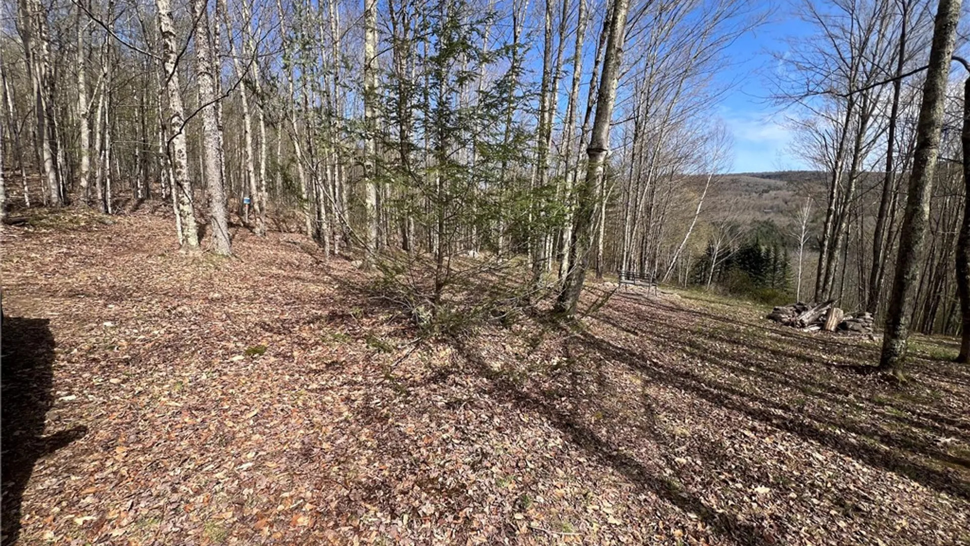 Property at State Highway 30, Andes, NY 13731 8