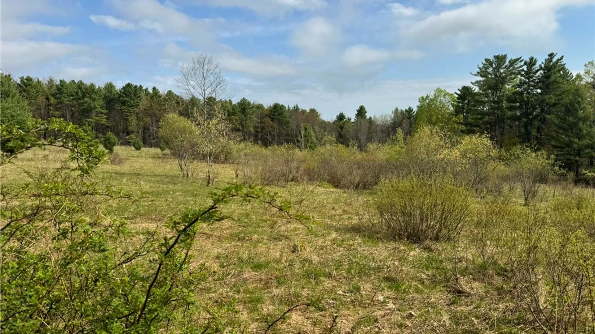 Property at 849 Mill Creek Road, Otego, NY 13825 12