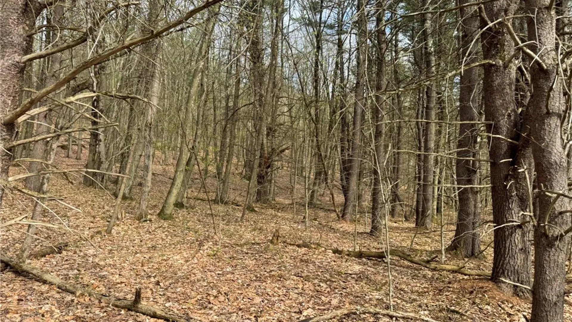 Property at 849 Mill Creek Road, Otego, NY 13825 13