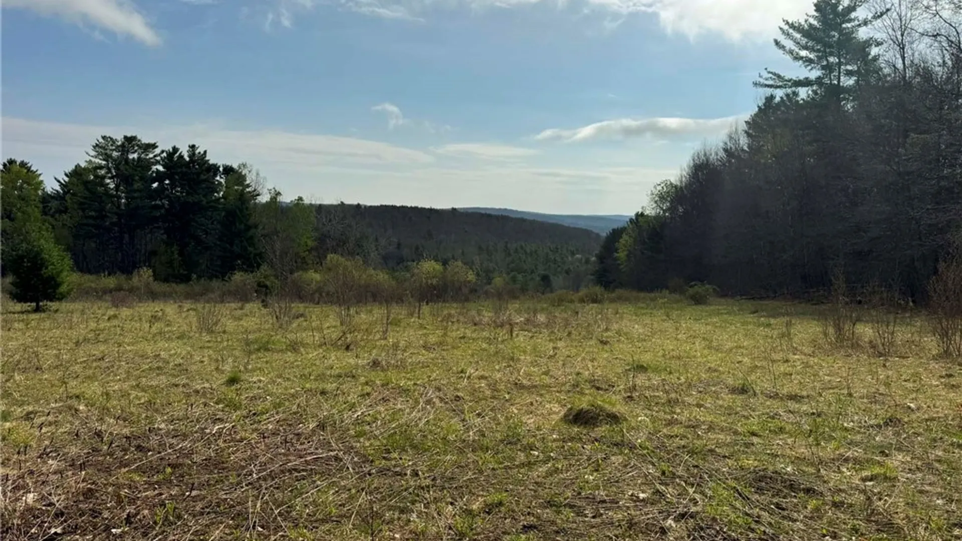 Property at 849 Mill Creek Road, Otego, NY 13825 16