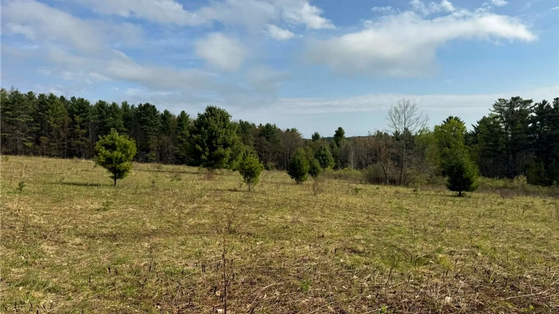 Property at 849 Mill Creek Road, Otego, NY 13825 17