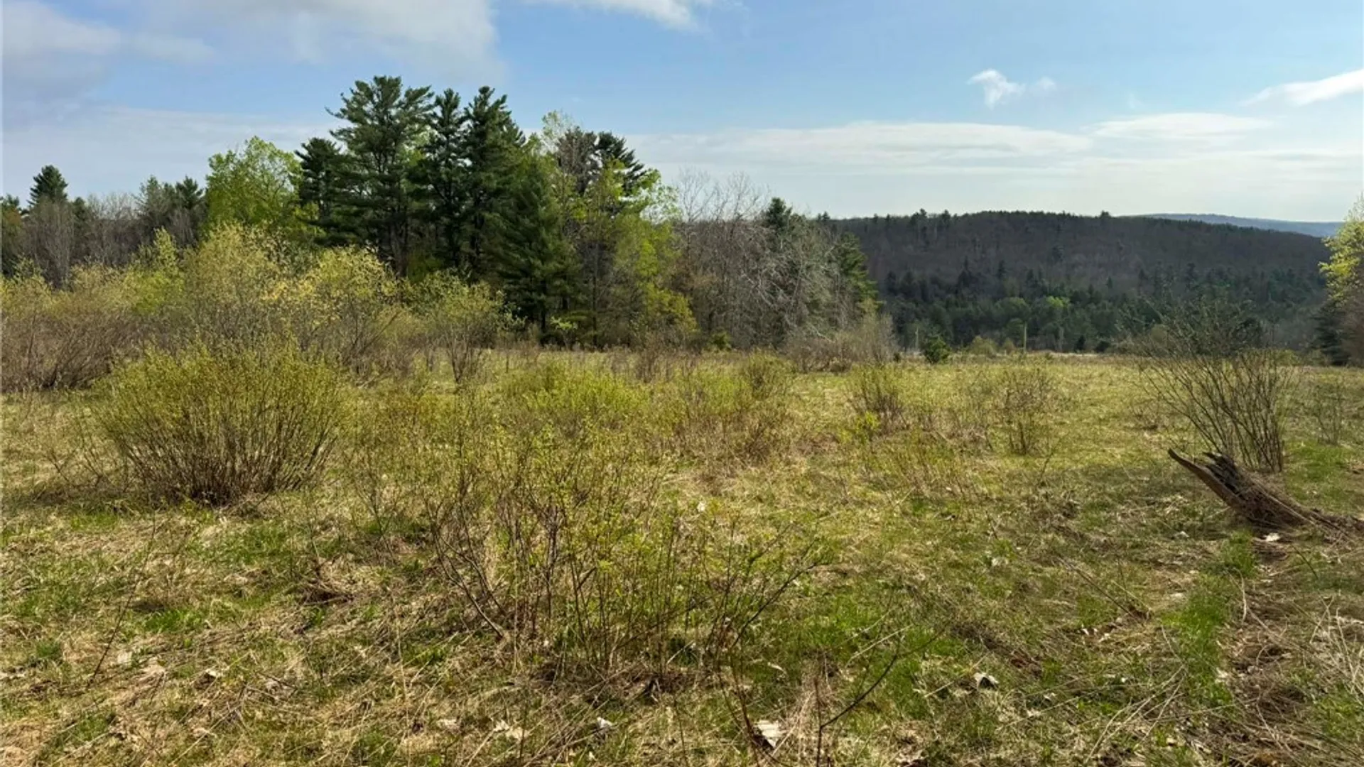 Property at 849 Mill Creek Road, Otego, NY 13825 18