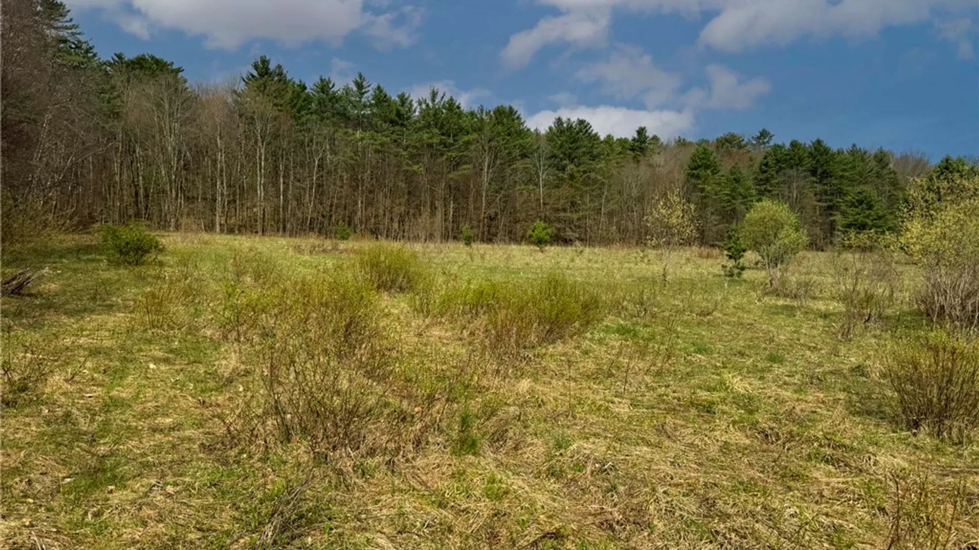 Property at 849 Mill Creek Road, Otego, NY 13825 19