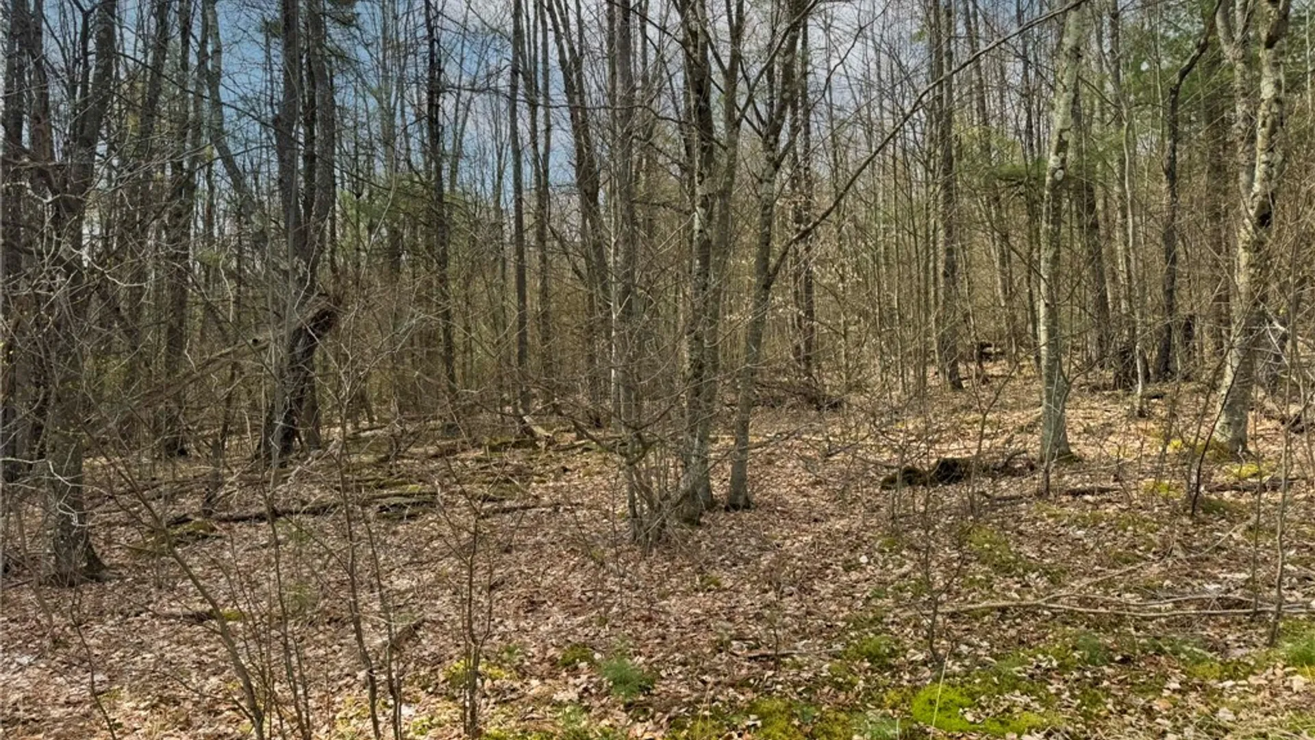 Property at 849 Mill Creek Road, Otego, NY 13825 20