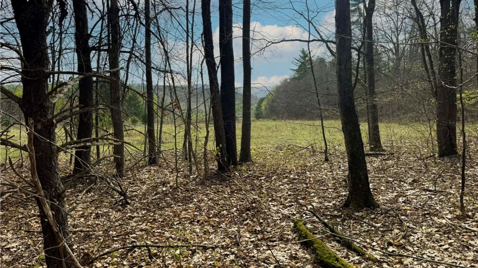 Property at 849 Mill Creek Road, Otego, NY 13825 7