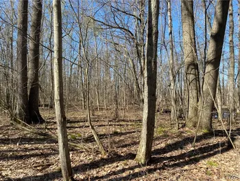 Property at 0 Spile Bridge Road, De Peyster, NY 13654