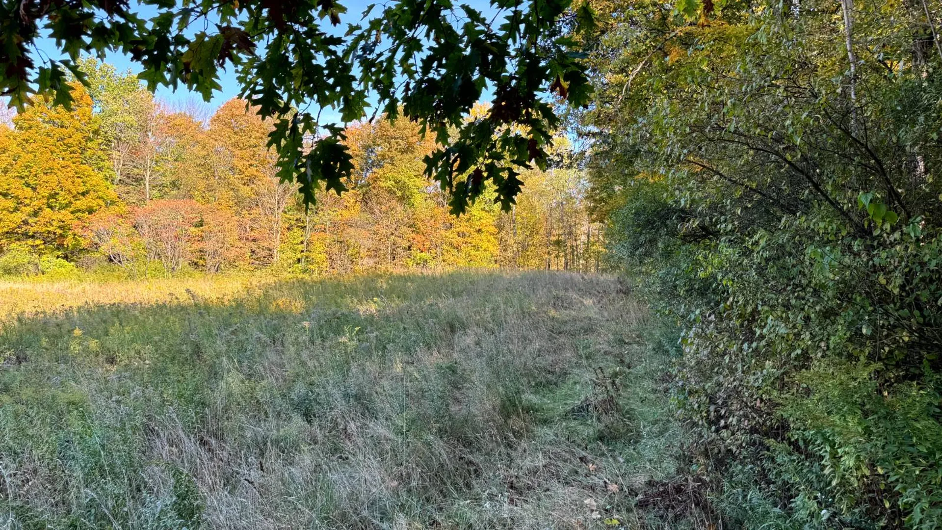 Property at 1.2 Wart Rd., Orwell, NY 13426 13