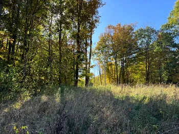 Property at 1.2 Wart Rd., Orwell, NY 13426