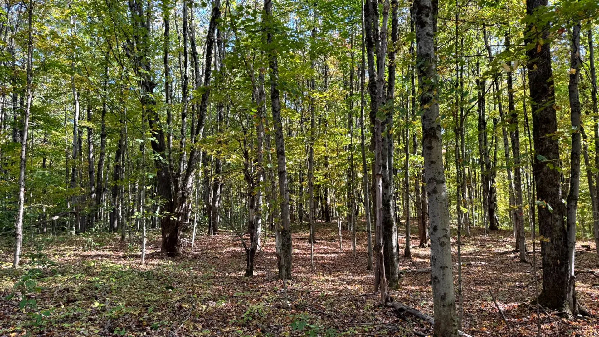 Property at 1.2 Wart Rd., Orwell, NY 13426 3