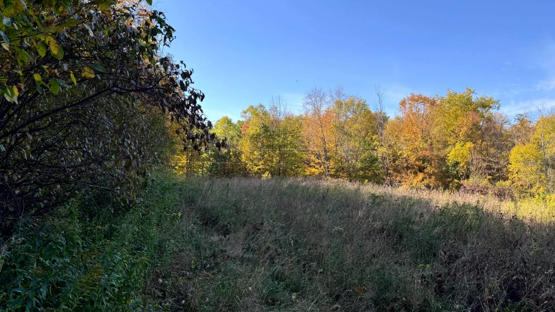 Property at 1.2 Wart Rd., Orwell, NY 13426 4