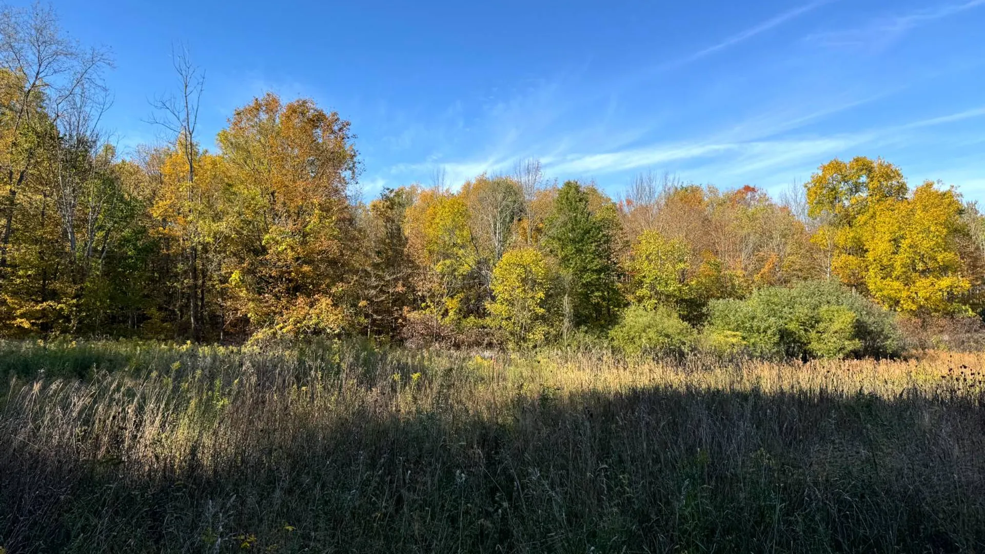 Property at 1.2 Wart Rd., Orwell, NY 13426 5