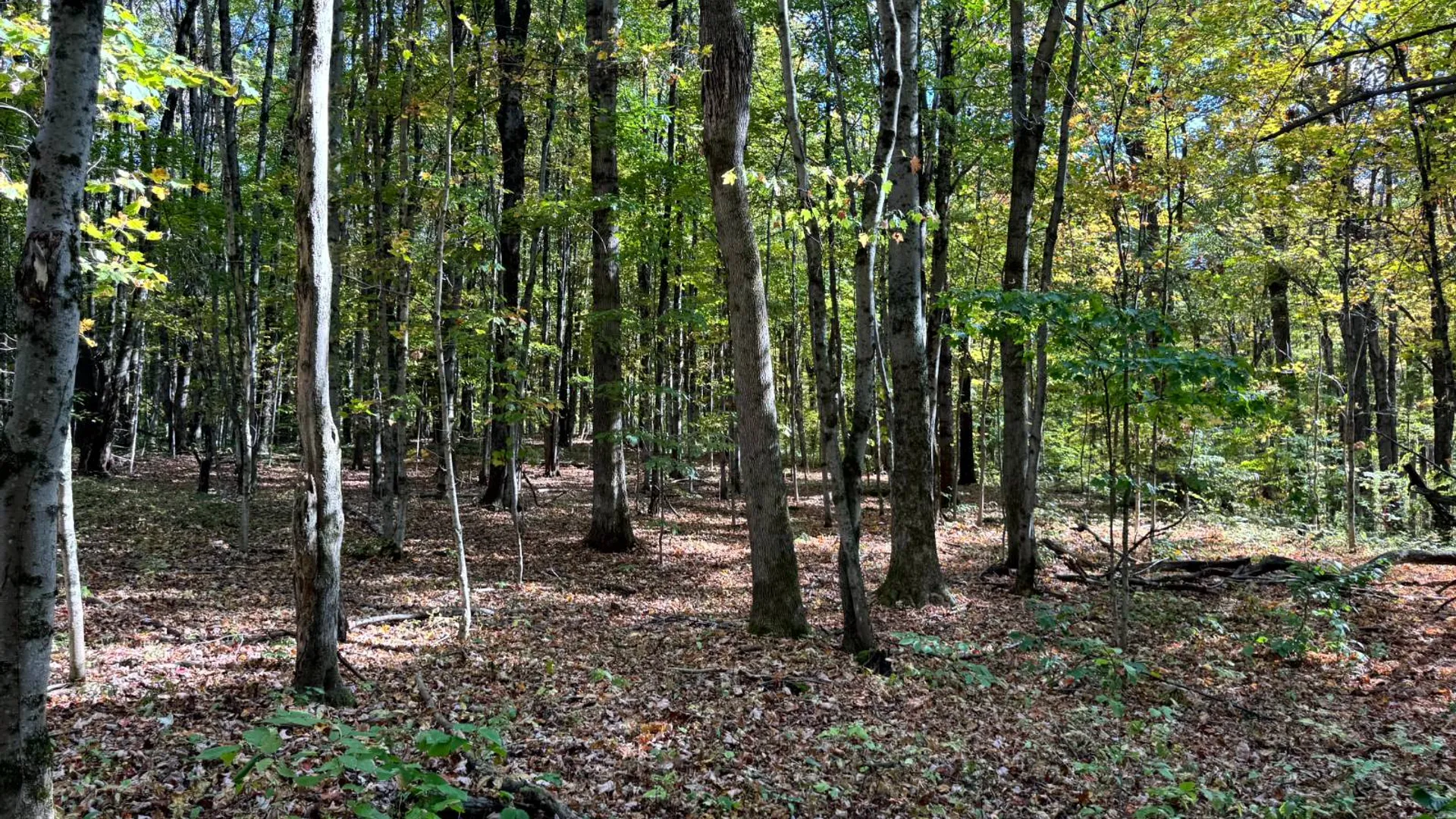 Property at 1.2 Wart Rd., Orwell, NY 13426 8