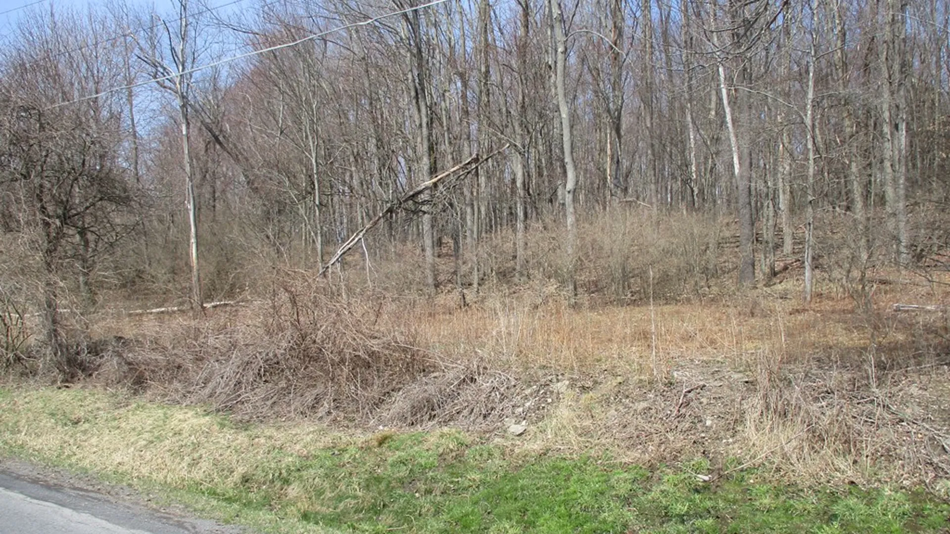 Property at 188 Orchard Hill Road, Horseheads, NY 14903 2