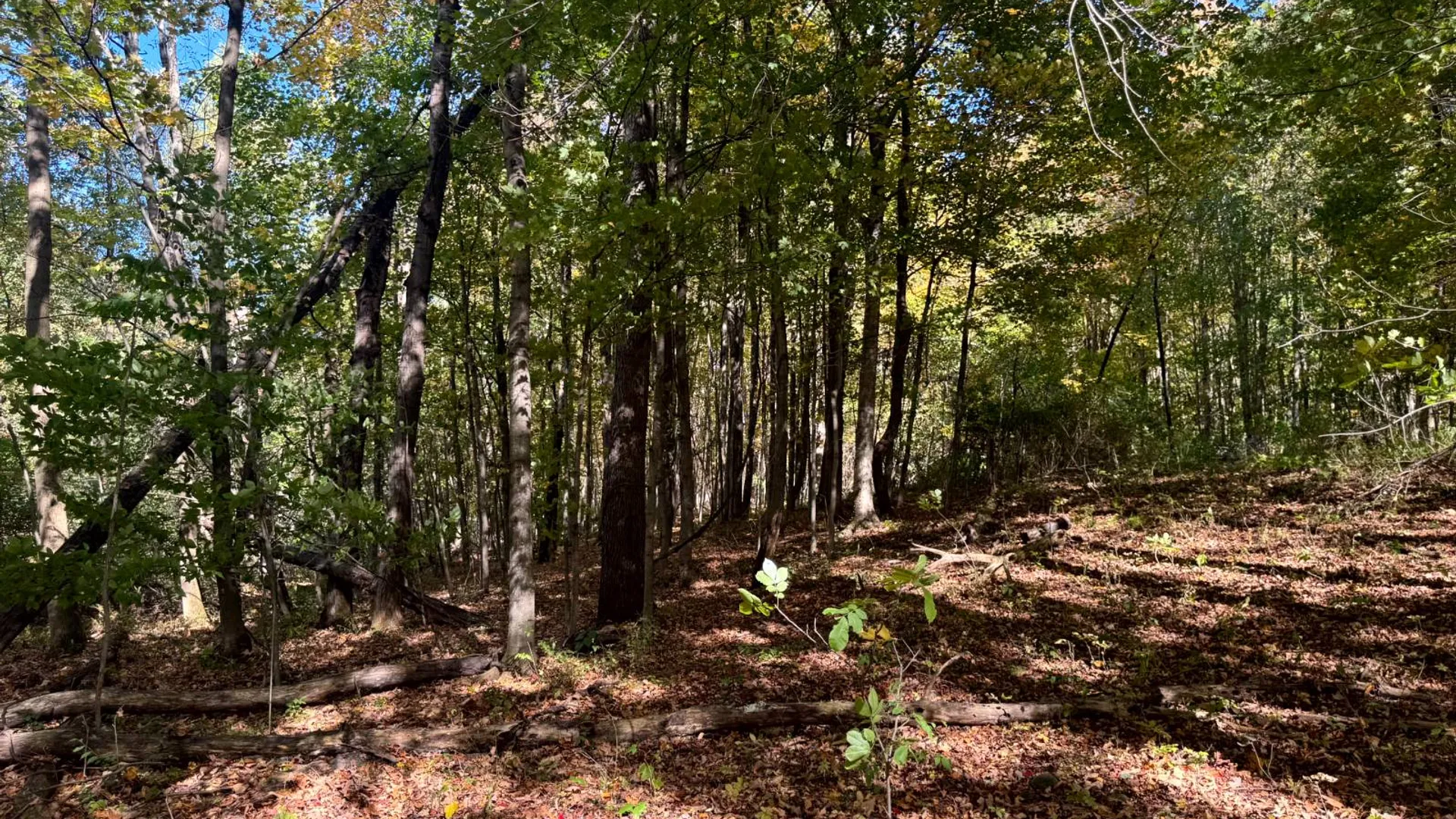 Property at 1.4 Wart Rd., Orwell, NY 13426 12