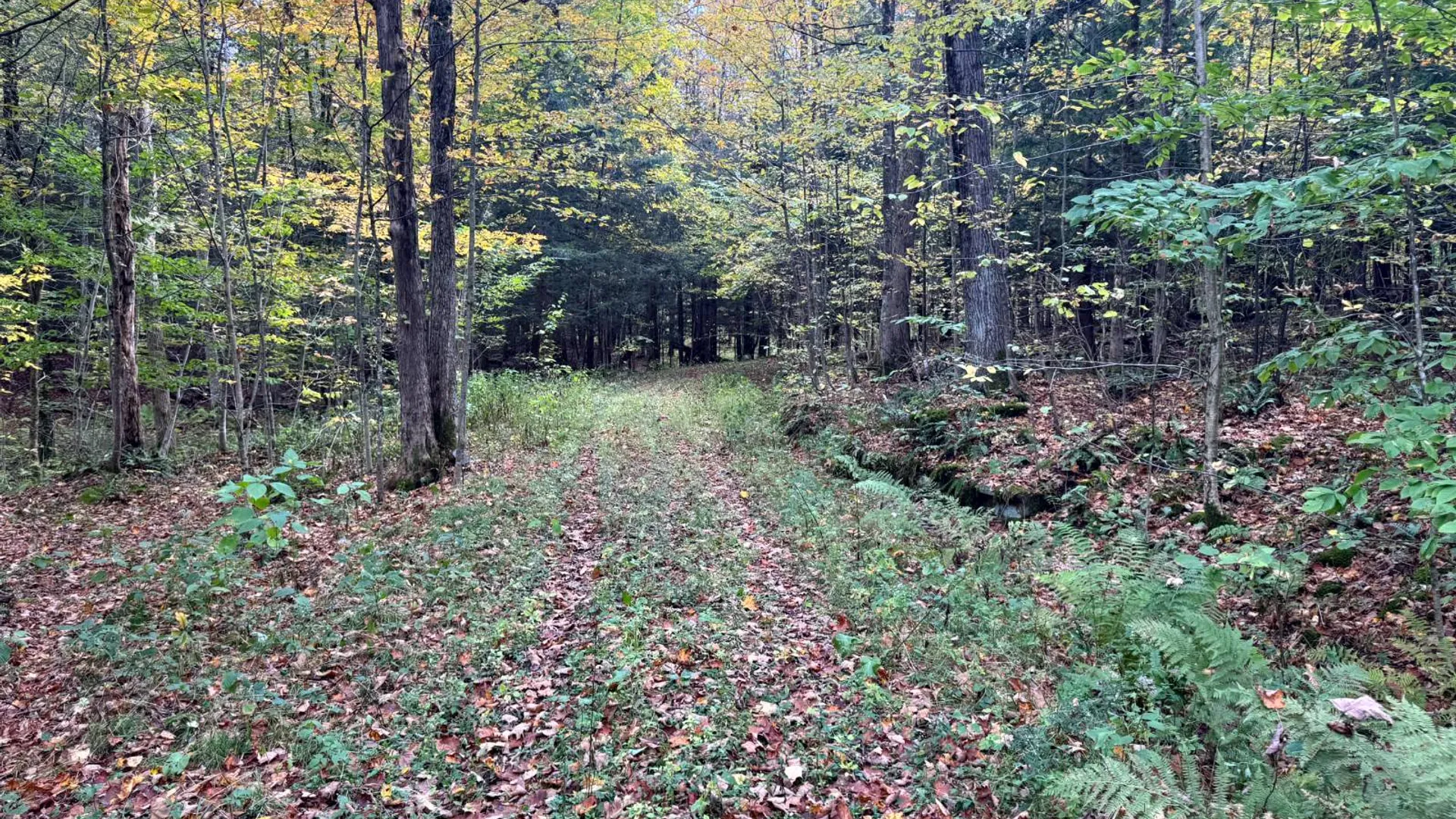 Property at 1.4 Wart Rd., Orwell, NY 13426 13