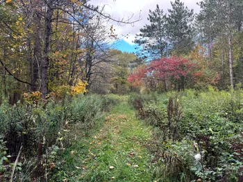 Property at 1.4 Wart Rd., Orwell, NY 13426