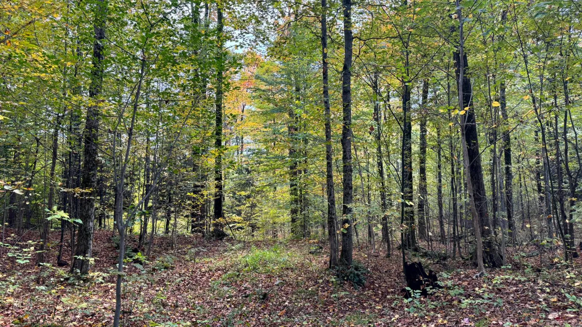 Property at 1.4 Wart Rd., Orwell, NY 13426 2
