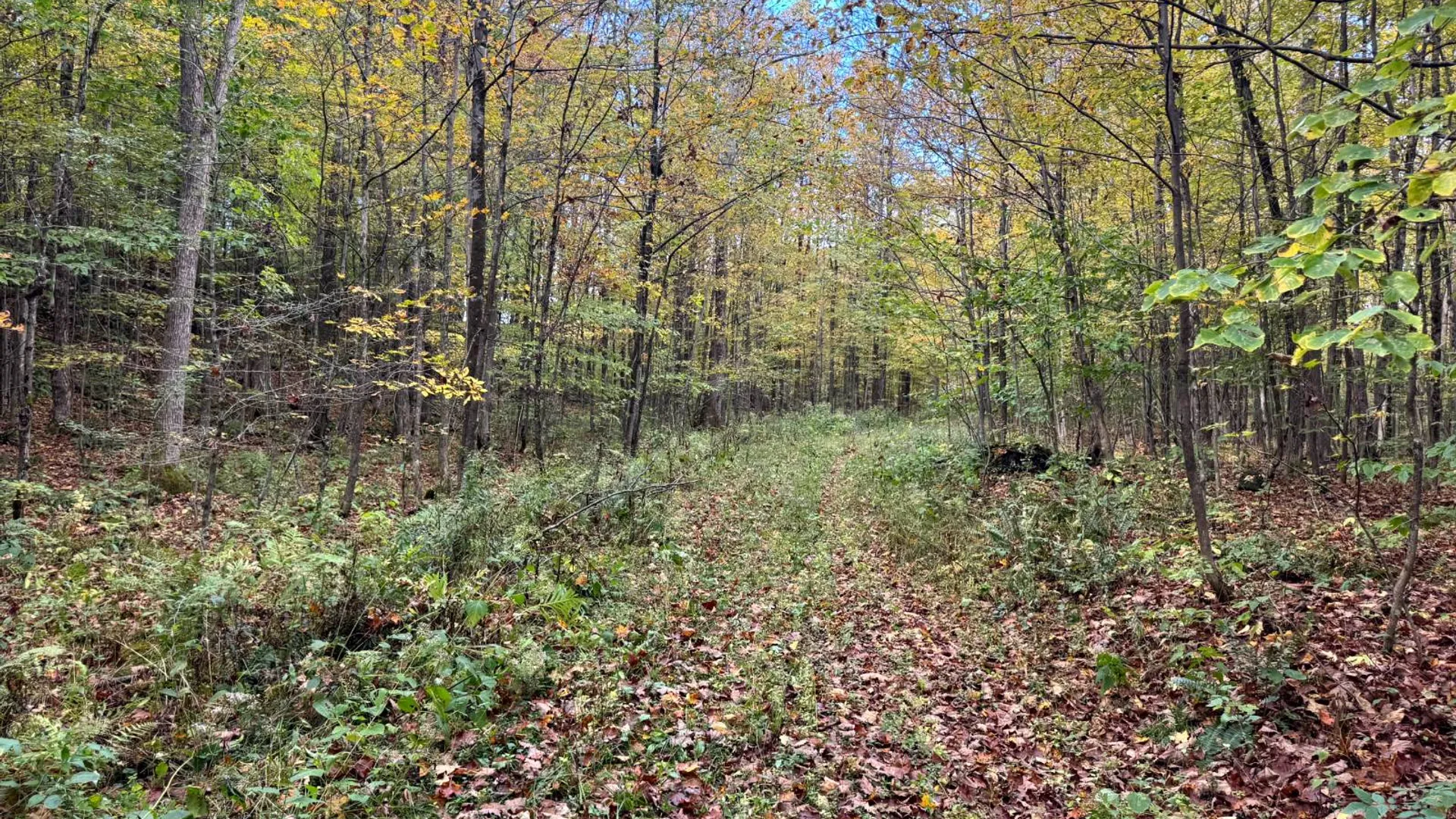 Property at 1.4 Wart Rd., Orwell, NY 13426 5