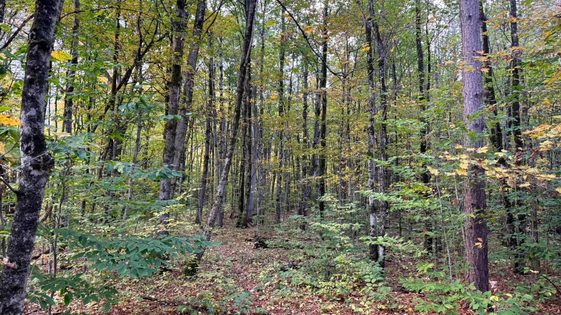 Property at 1.4 Wart Rd., Orwell, NY 13426 6
