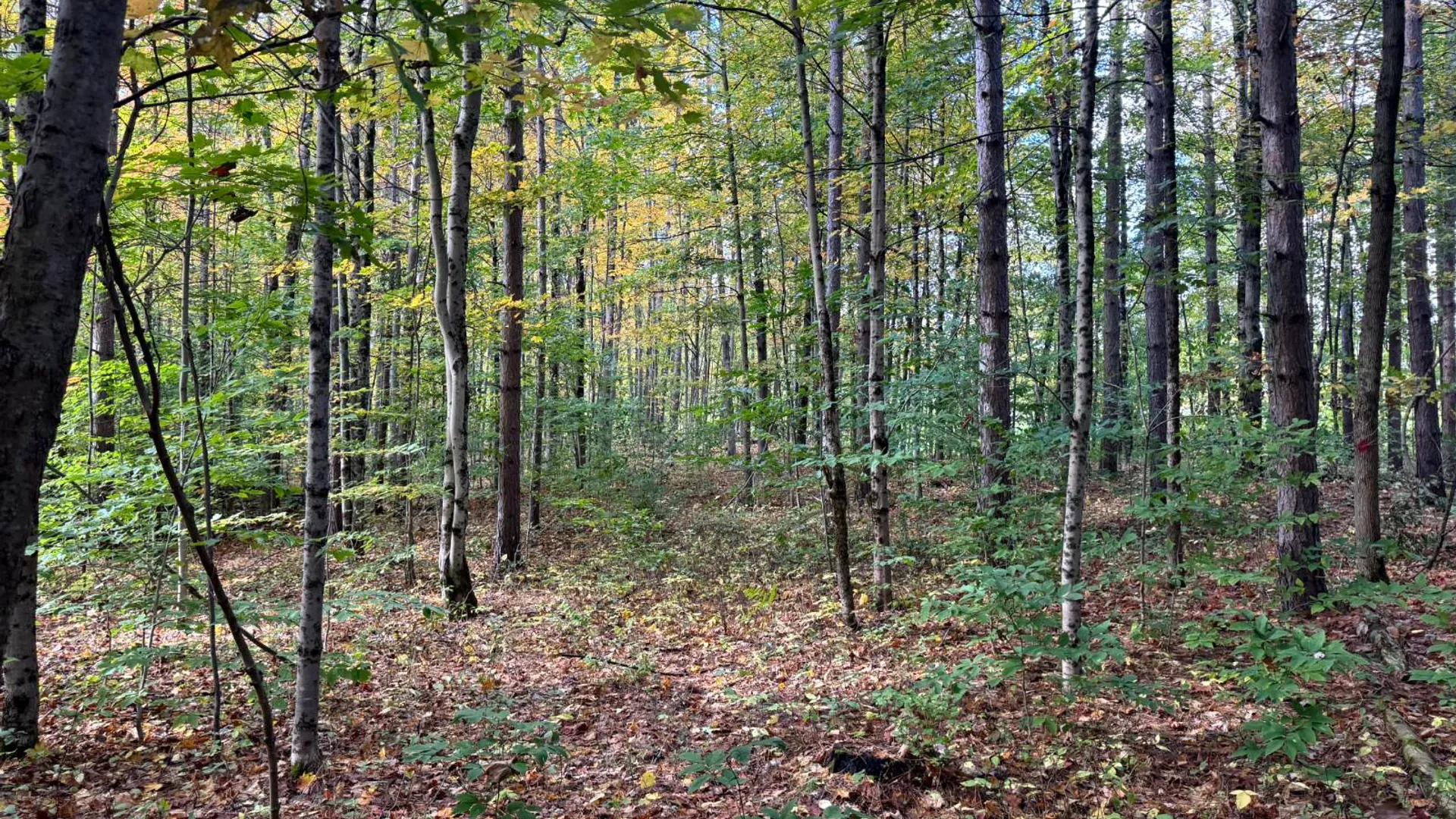 Property at 1.4 Wart Rd., Orwell, NY 13426 7