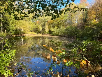 Property at 1.5 Wart Rd., Orwell, NY 13426