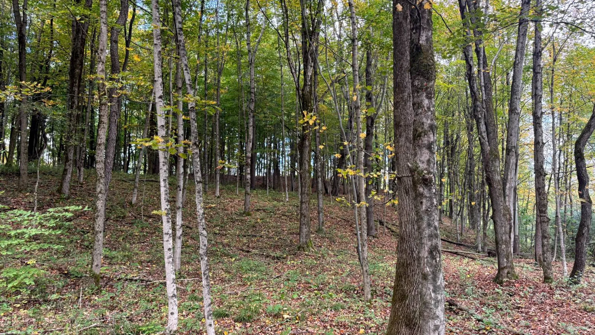 Property at 1.5 Wart Rd., Orwell, NY 13426 5