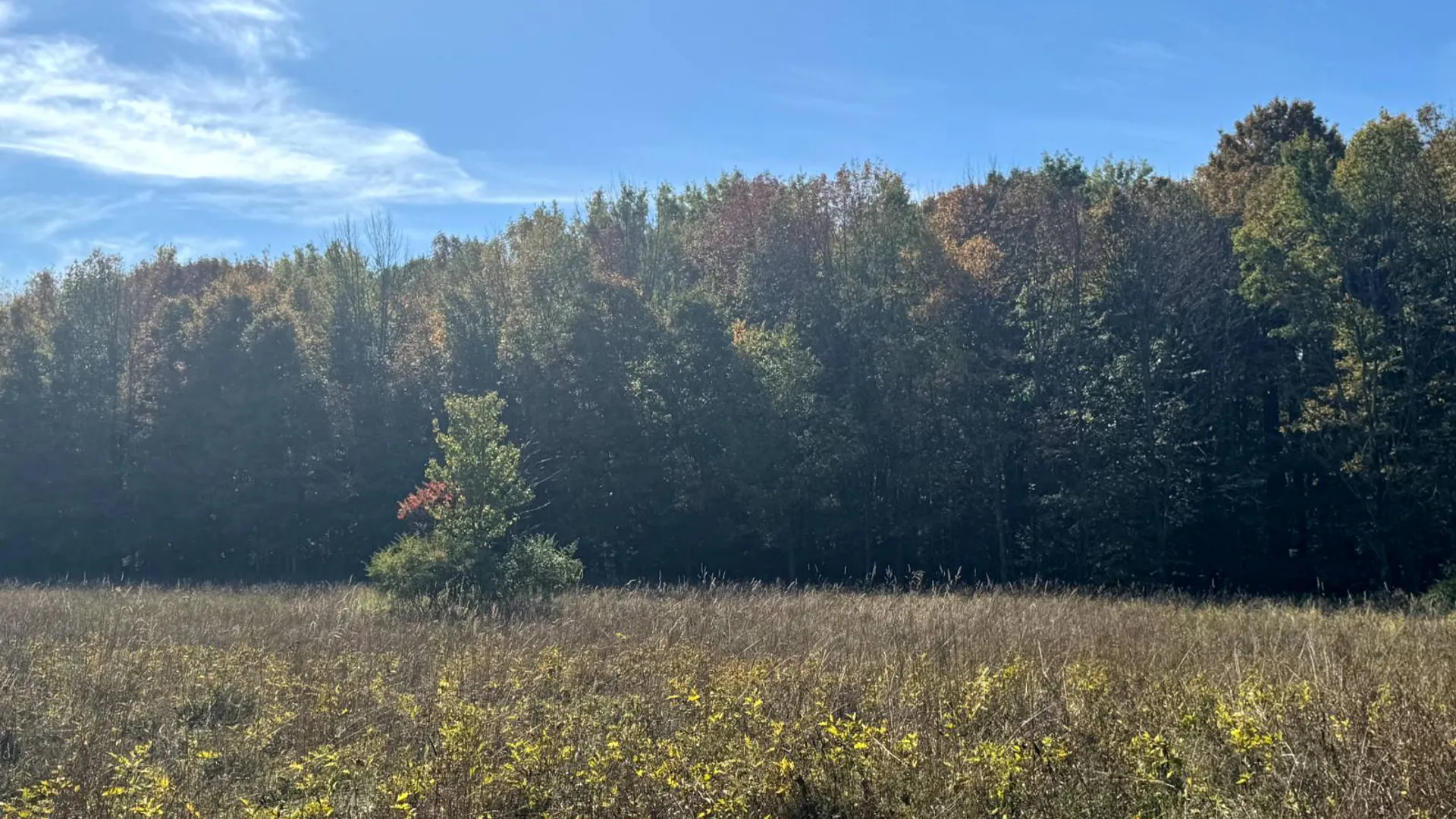 Property at 1.10 Wart Rd., Orwell, NY 13426 10