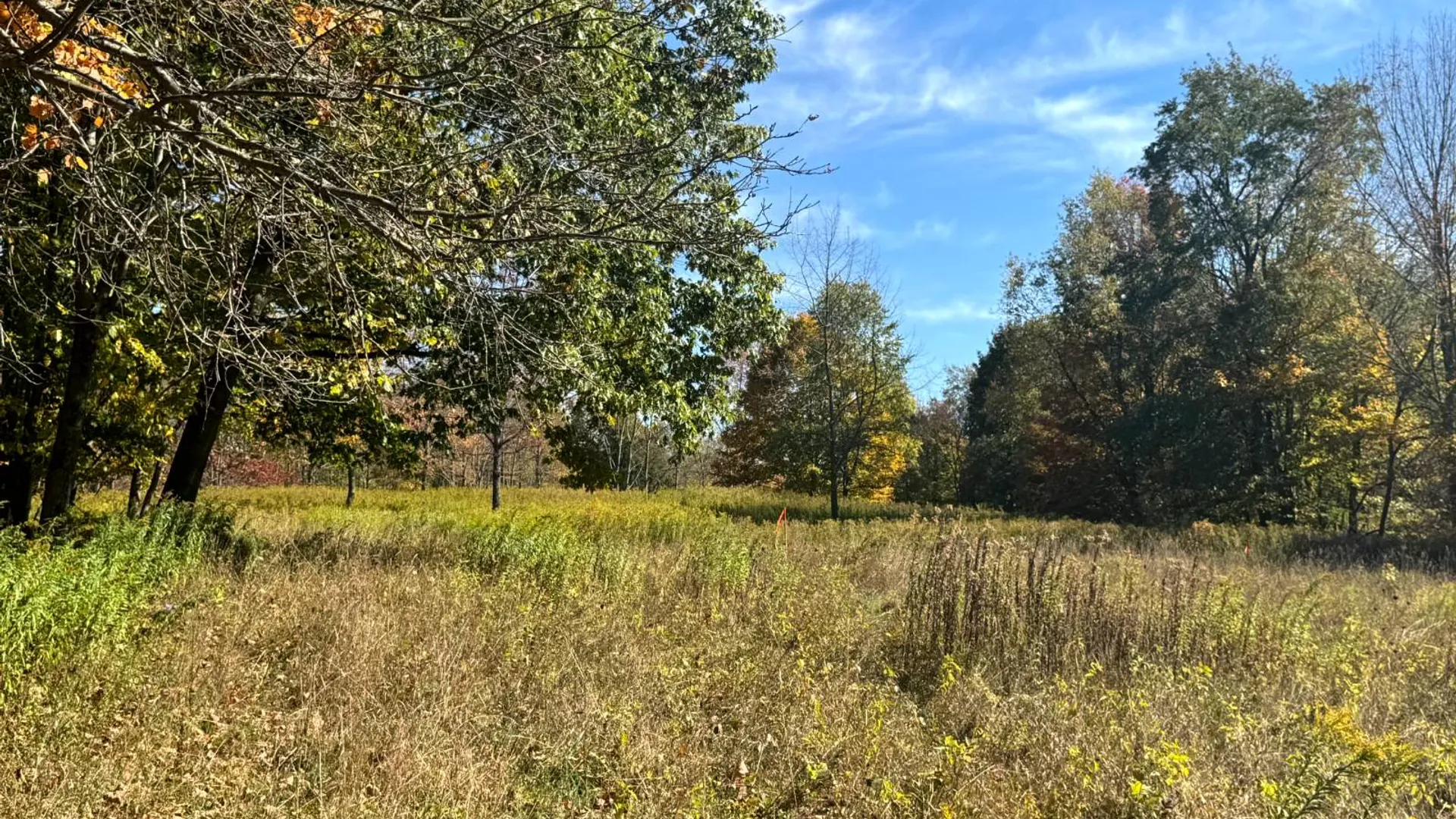 Property at 1.10 Wart Rd., Orwell, NY 13426 5