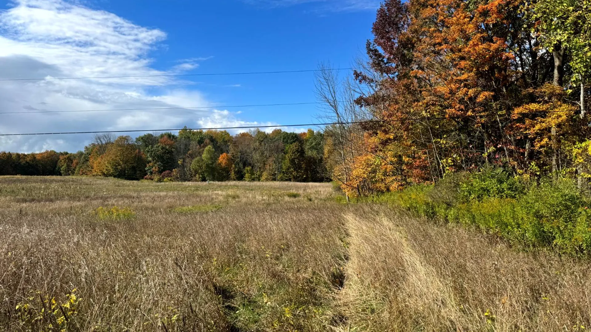 Property at 1.10 Wart Rd., Orwell, NY 13426 6