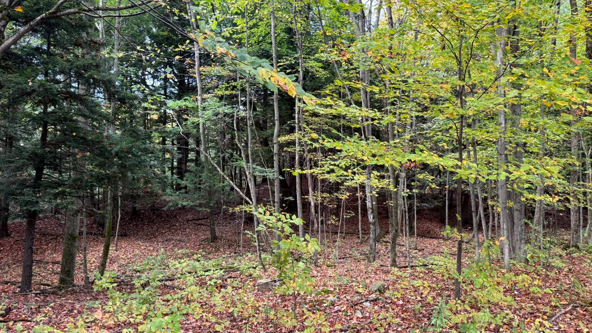 Property at 1.10 Wart Rd., Orwell, NY 13426 8
