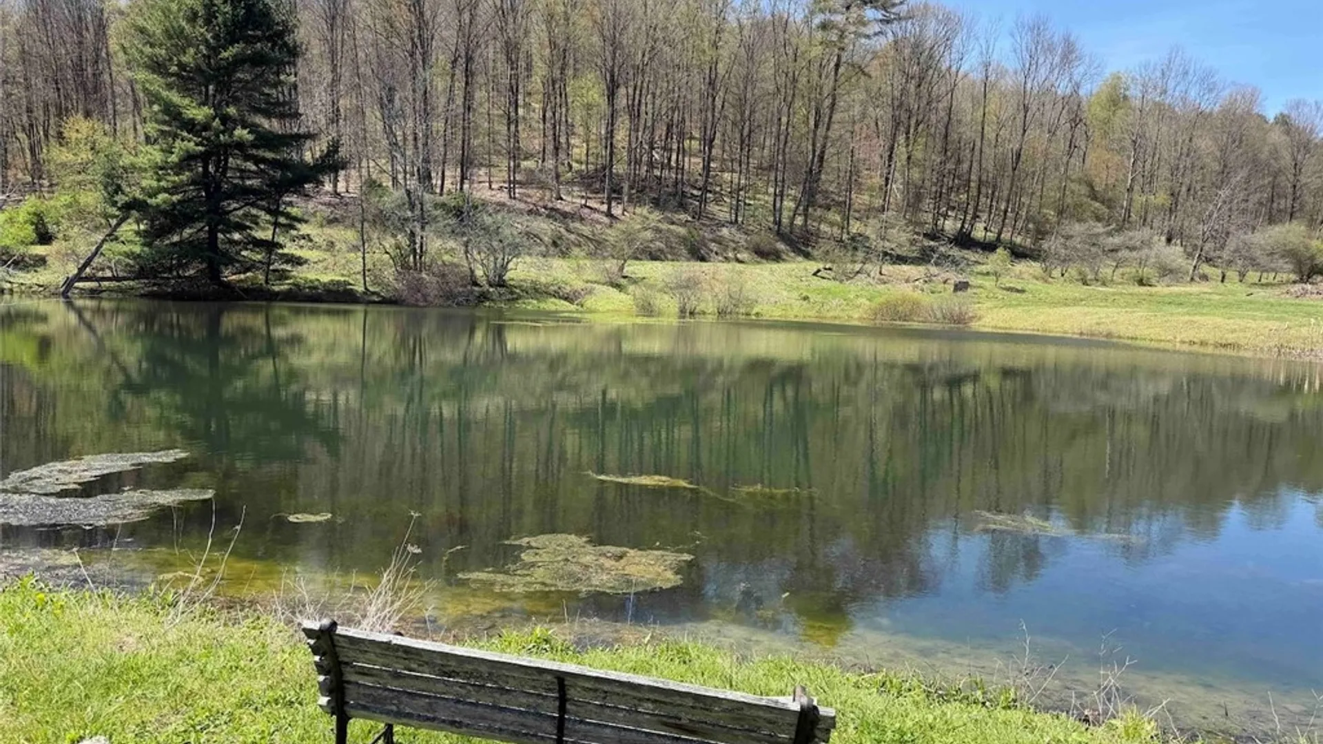 Property at 221 Evans Avenue, Wirt, NY 14715 48