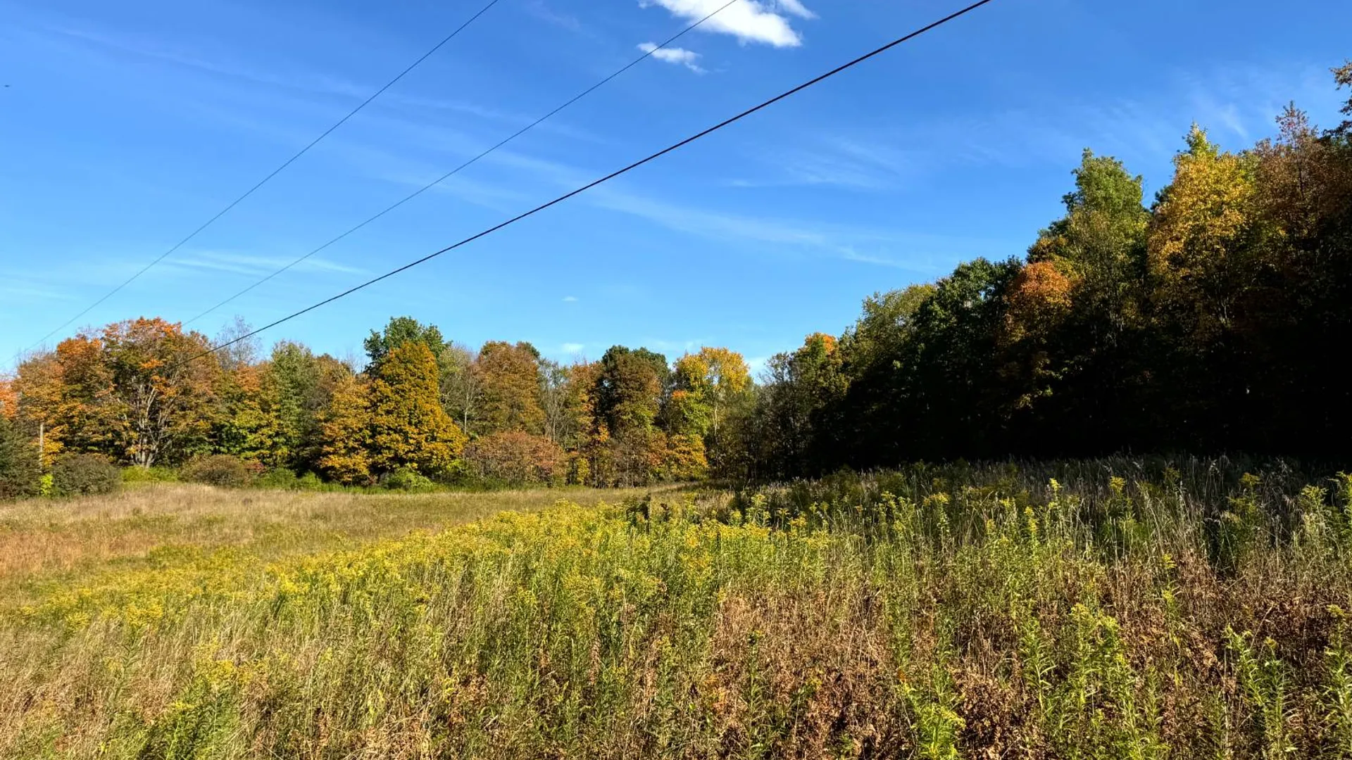 Property at 1.12 Wart Rd., Orwell, NY 13426 10