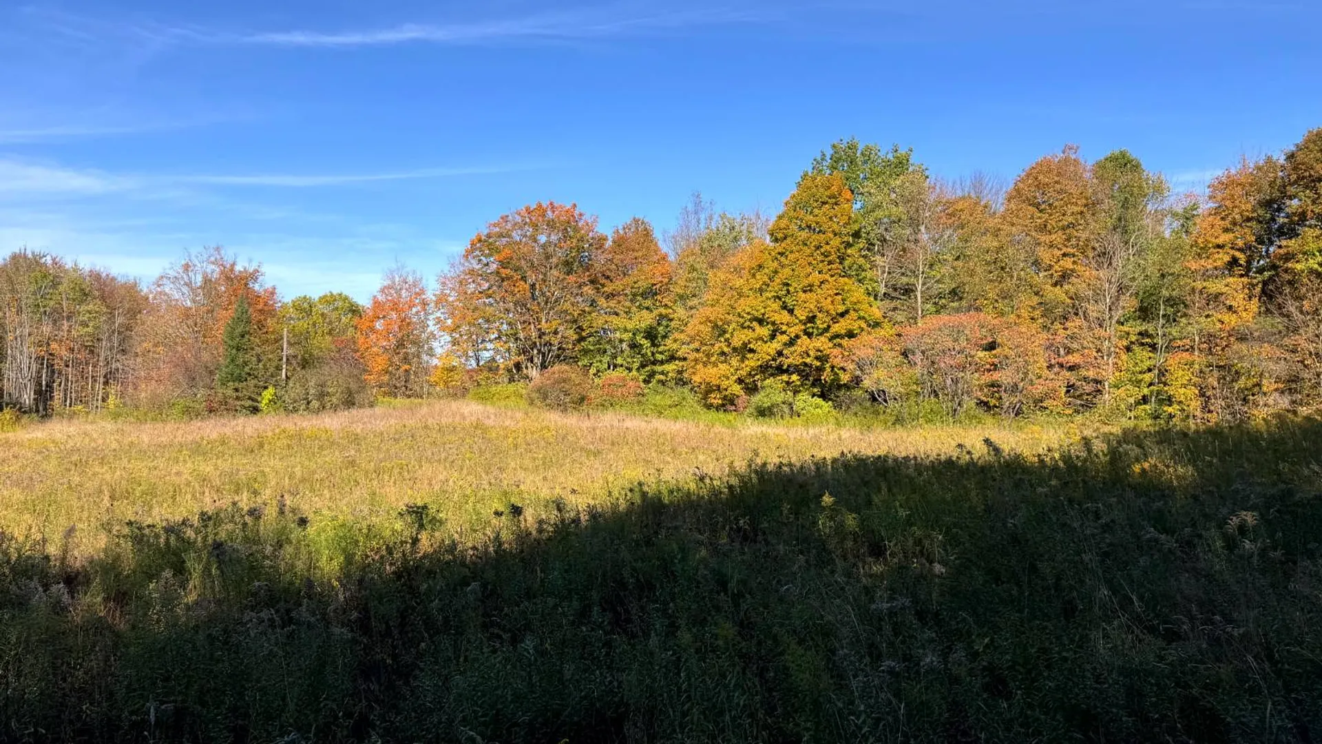 Property at 1.12 Wart Rd., Orwell, NY 13426 13