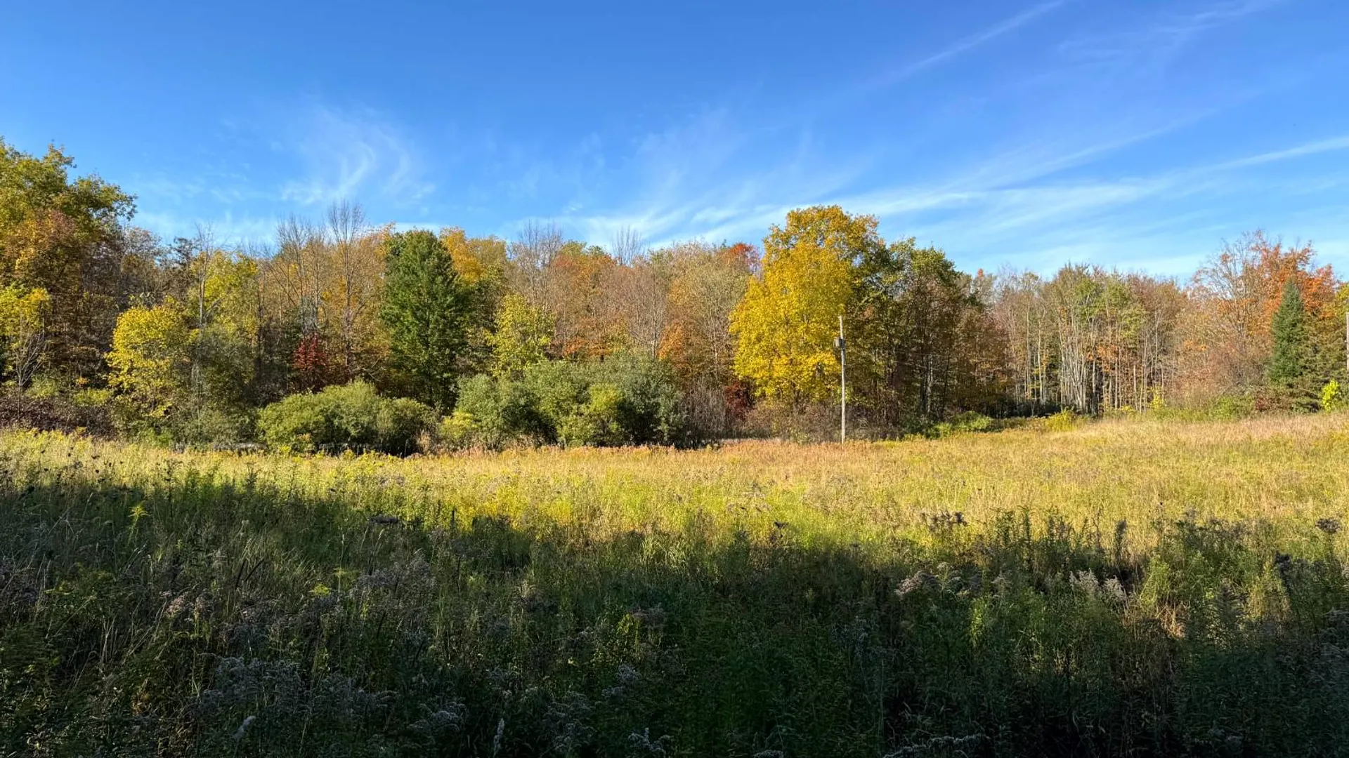 Property at 1.12 Wart Rd., Orwell, NY 13426 14
