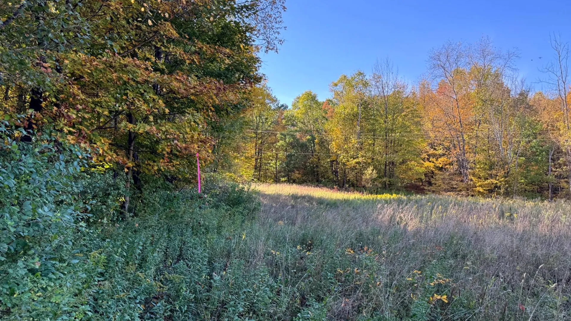 Property at 1.12 Wart Rd., Orwell, NY 13426 16