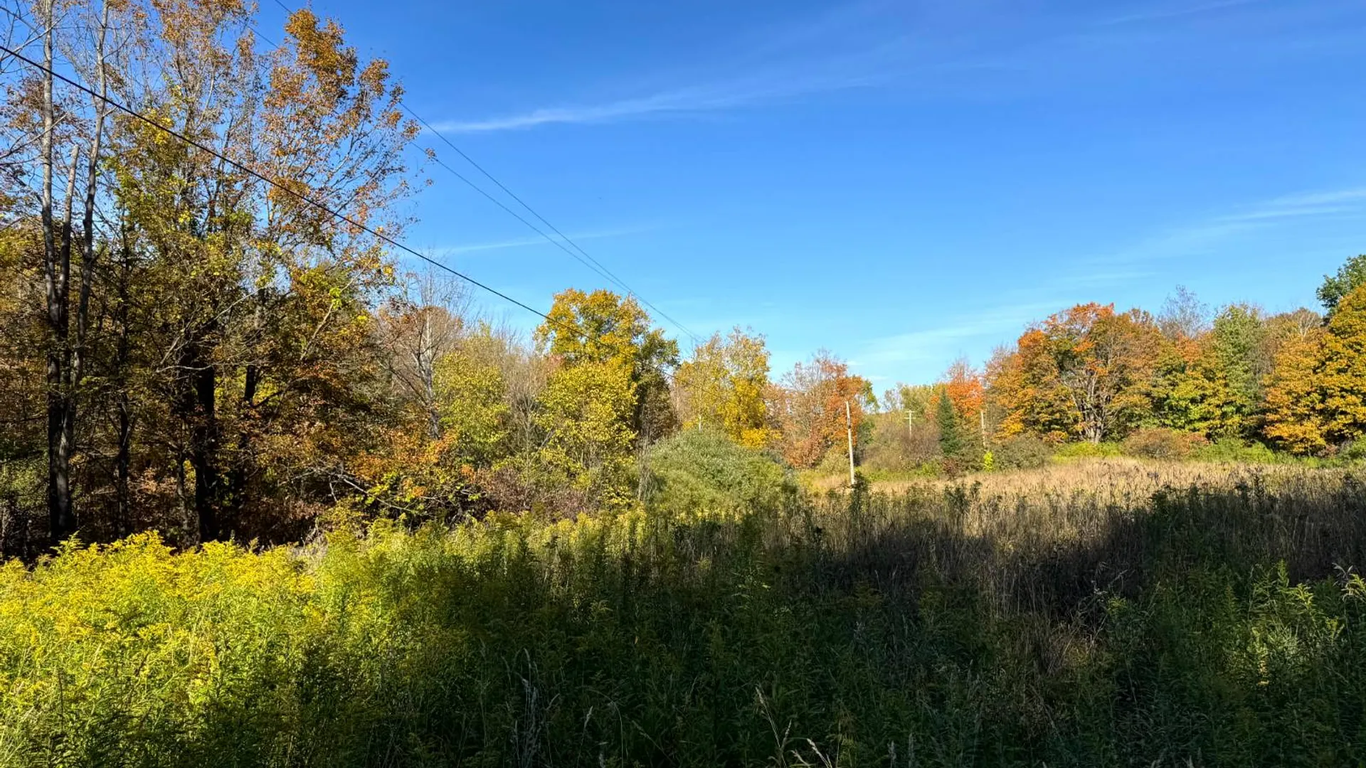 Property at 1.12 Wart Rd., Orwell, NY 13426 18