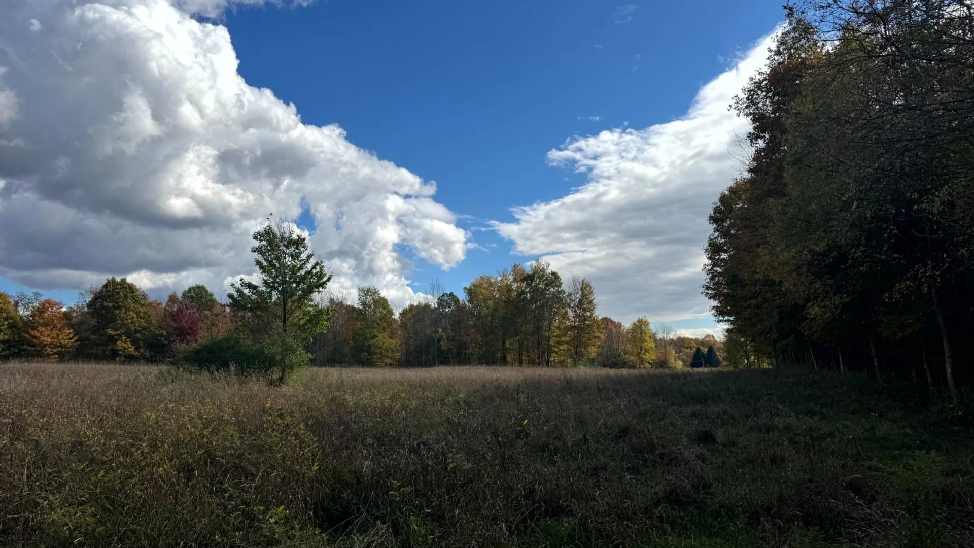Property at 1.12 Wart Rd., Orwell, NY 13426 19