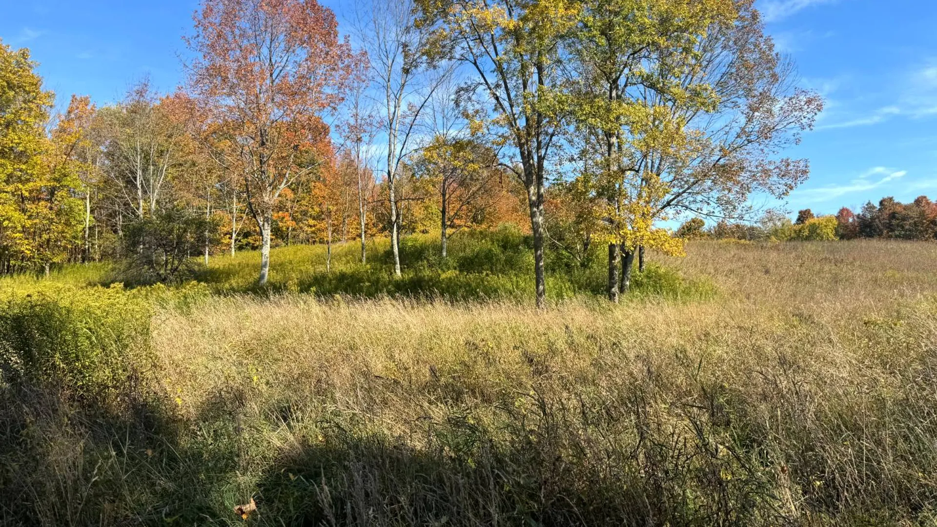 Property at 1.12 Wart Rd., Orwell, NY 13426 2