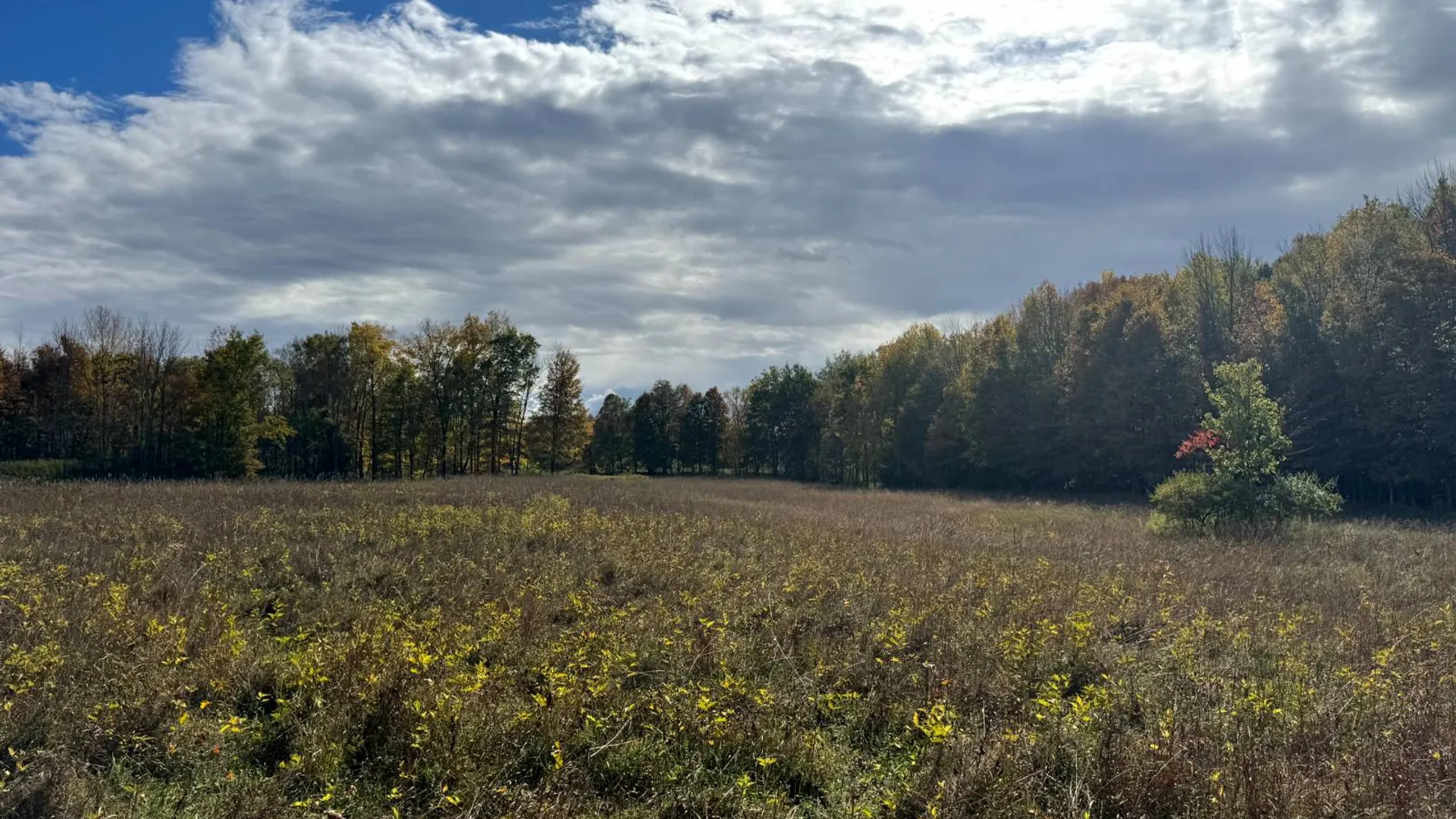 Property at 1.12 Wart Rd., Orwell, NY 13426 20