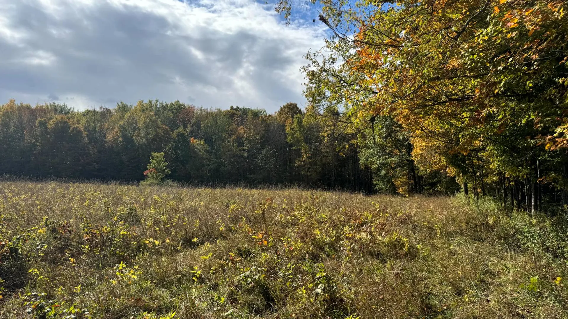 Property at 1.12 Wart Rd., Orwell, NY 13426 21
