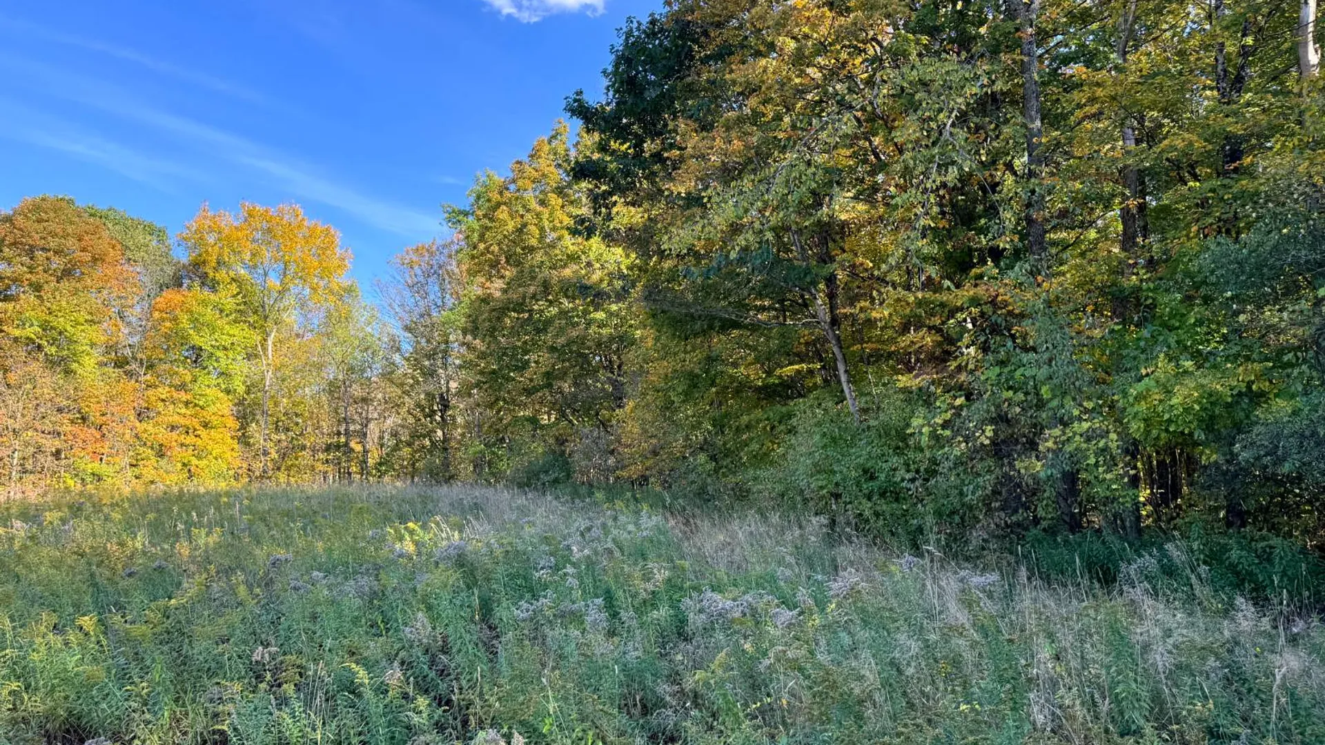 Property at 1.12 Wart Rd., Orwell, NY 13426 3
