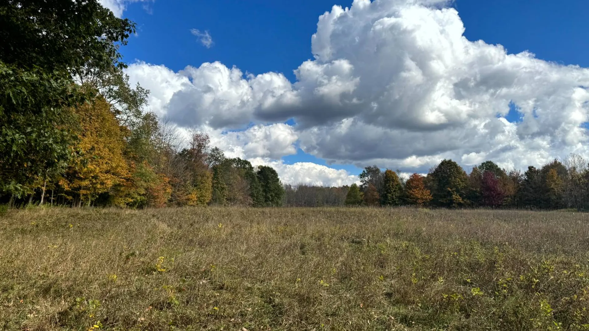 Property at 1.12 Wart Rd., Orwell, NY 13426 7