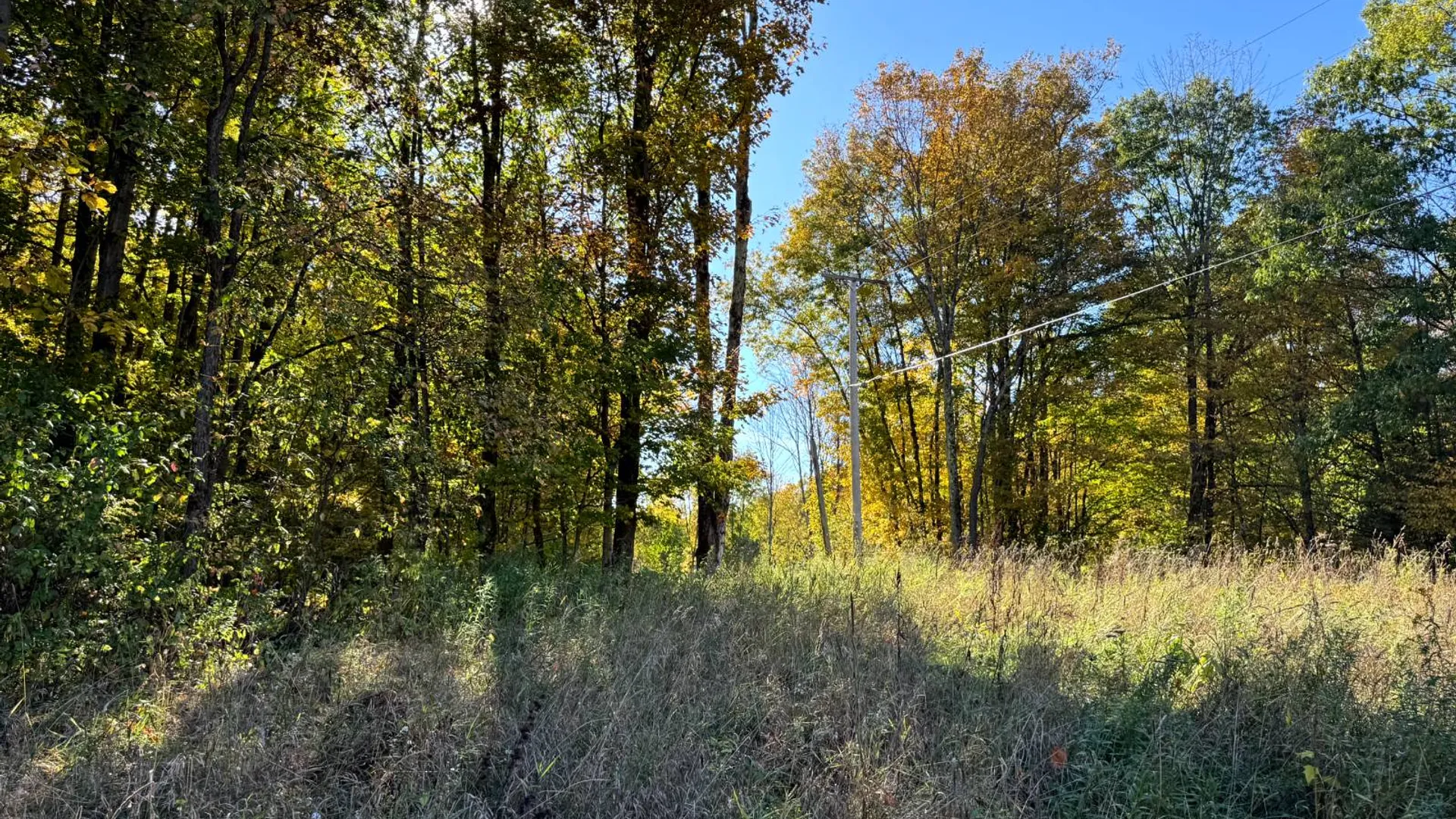 Property at 1.12 Wart Rd., Orwell, NY 13426 9