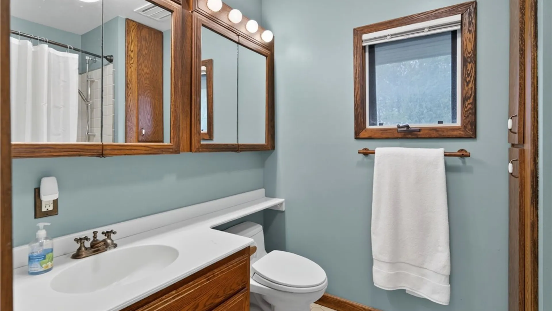 Property at 209 Bryant Avenue, Ithaca City, NY 14850 23