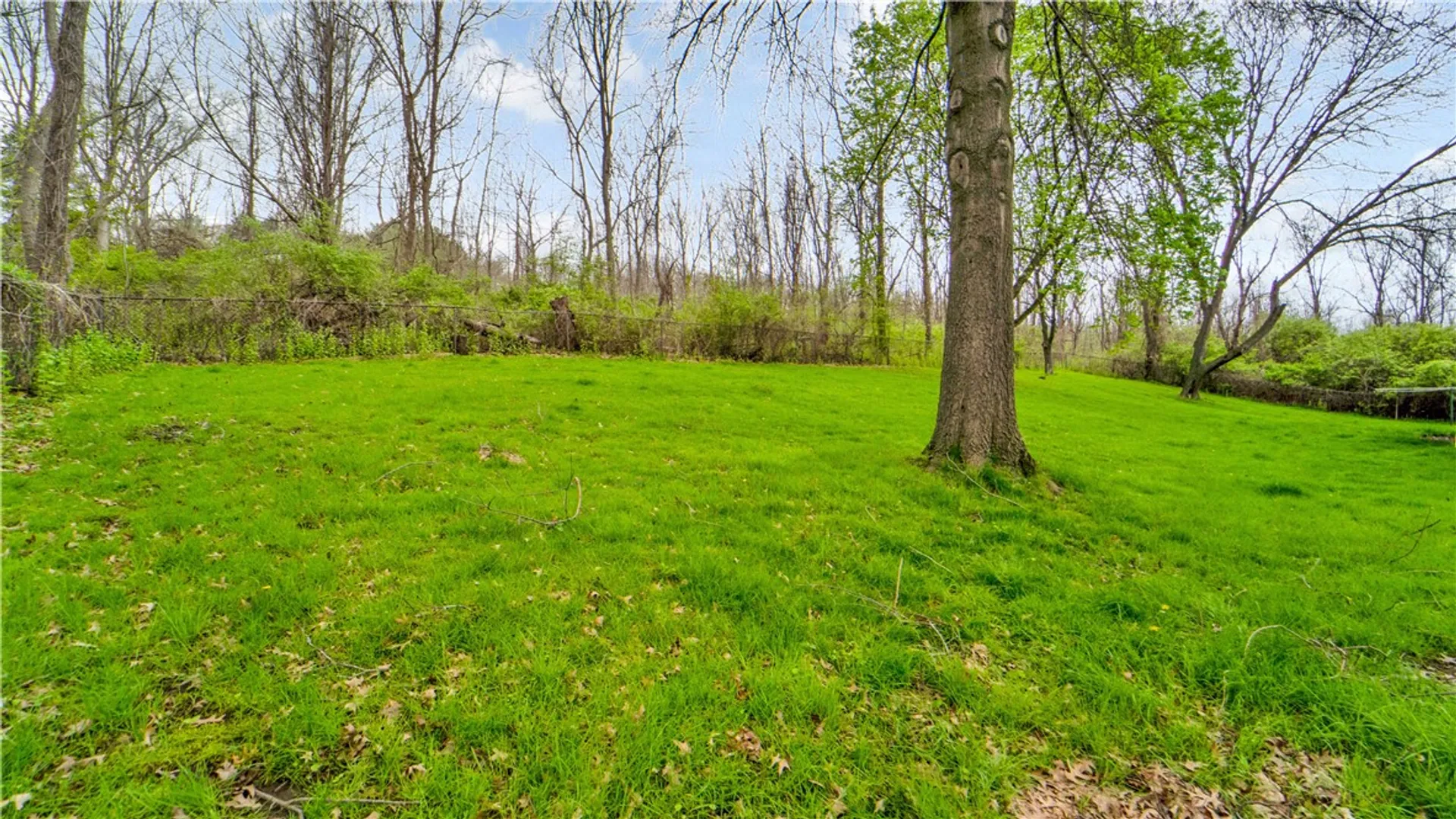 Property at 8344 Dansville Mount Morris Road, West Sparta, NY 14437 42
