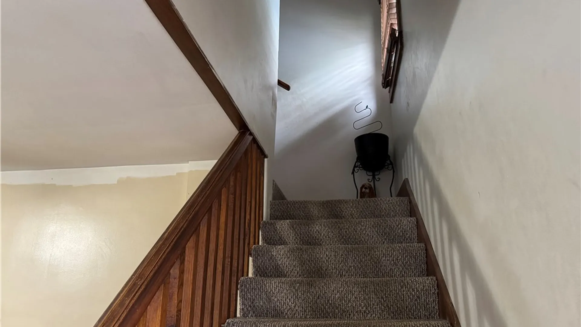 Property at 36 Witter Avenue, Wellsville, NY 14895 13
