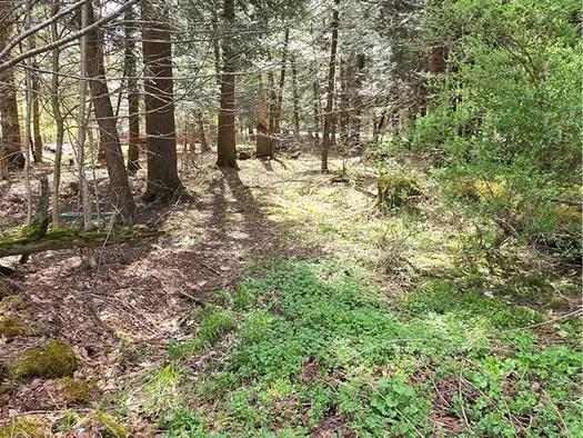Property at Bliss Gulf Road, Milford, NY 13807